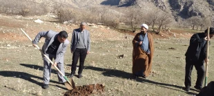 همایش پیاده روی همراه با کاشت بذر درختان بومی به مناسبت شهادت سردار سایمانی 7