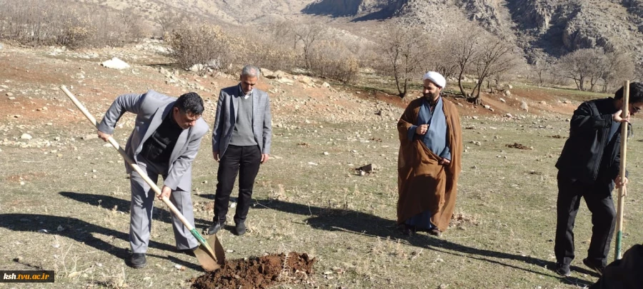 همایش پیاده روی همراه با کاشت بذر درختان بومی به مناسبت شهادت سردار سایمانی 7