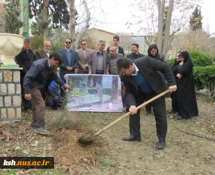 توسط رئیس دانشگاه ملی مهارت استان کرمانشاه انجام شد
کاشت نهال در محوطه دانشگاه ملی مهارت استان 
 6