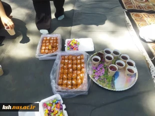 برگزاری اردوی تفریحی دانشجویان خوابگاههای ریحانه و مرصاد واحد دختران کرمانشاه به مناسبت هفته خوابگاه ها  8
